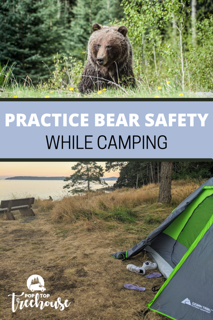 How to Practice Bear Safety While Camping pin