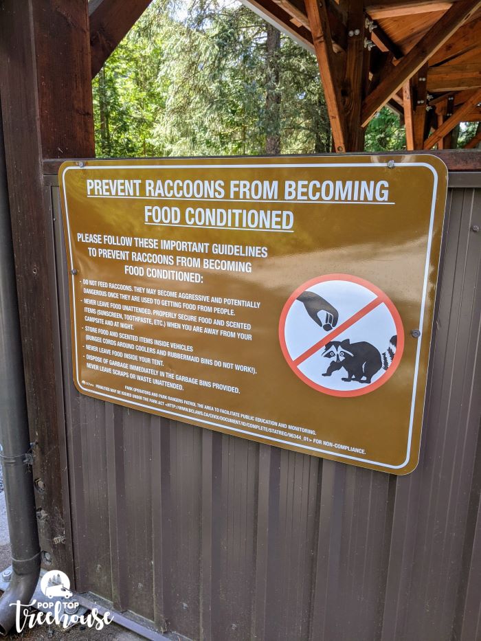 prevent raccoons from becoming food conditioned