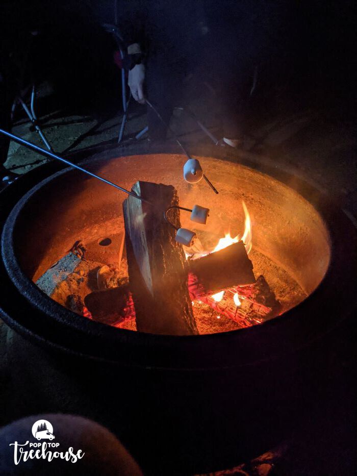 roasting marshmallows over campfire