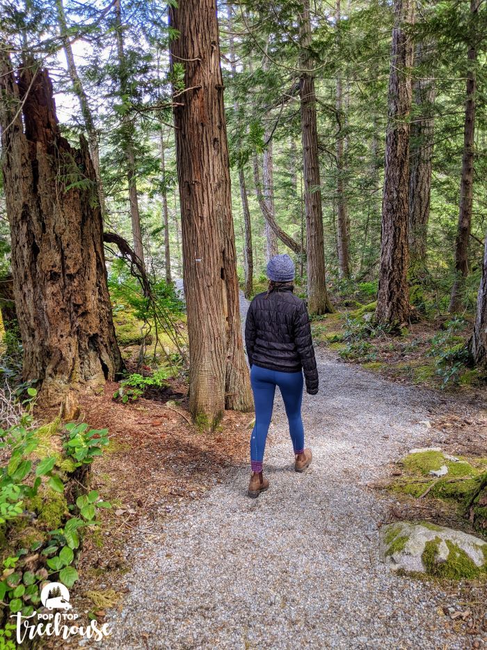 girl walking on trail