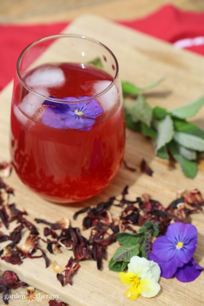 Hibiscus iced tea recipe