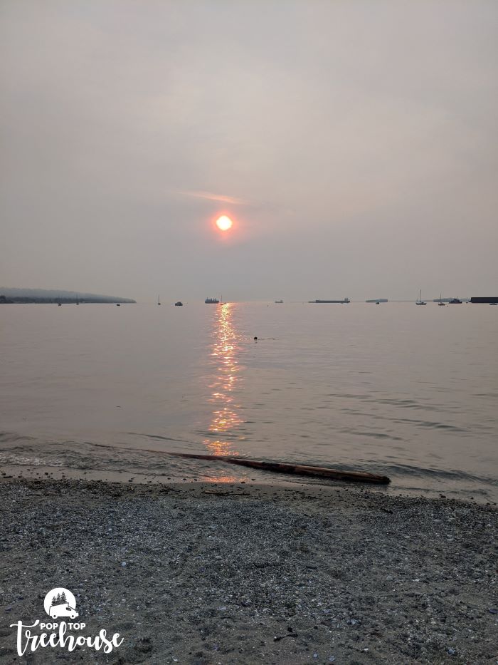 red sun from forest fire smoke