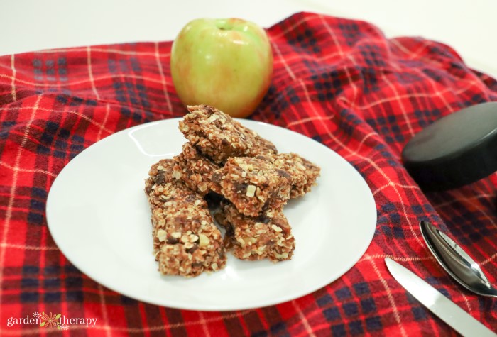 granola bar recipe