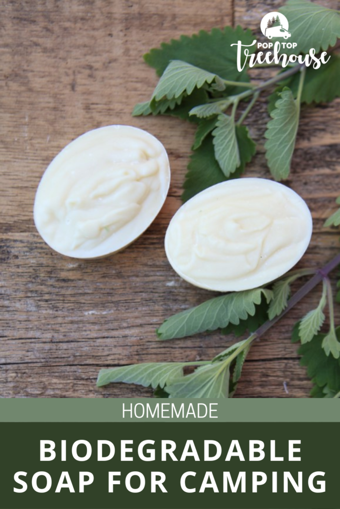 DIY Biodegradable Bar Soap For Camping