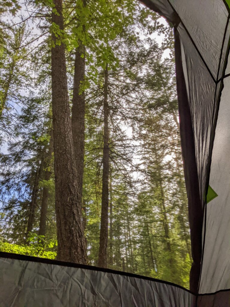 view of trees through tent mesh