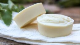 bar soap for camping