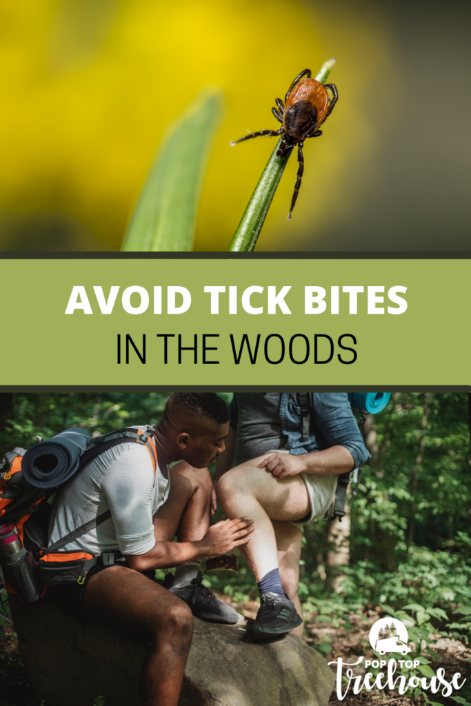 Tick Safety and How to Avoid Tick Bites in the Woods