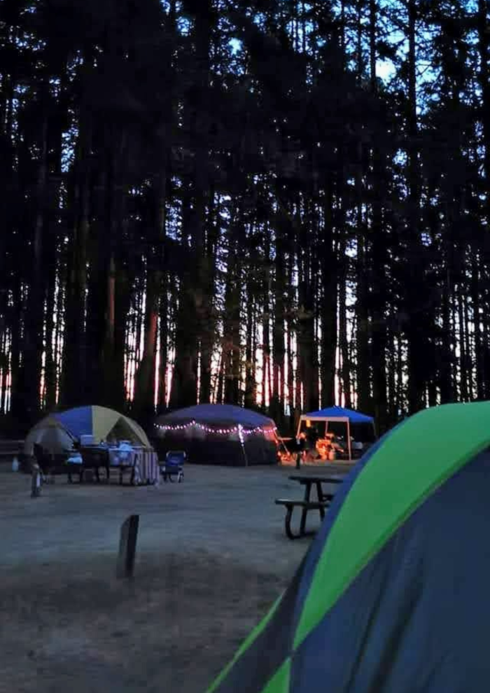 tenting site at Rathtrevor Beach Provincial Park