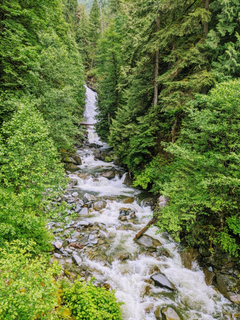 Harrison Lake Bear Creek campground