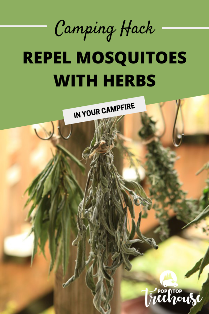 What keep store mosquitoes away