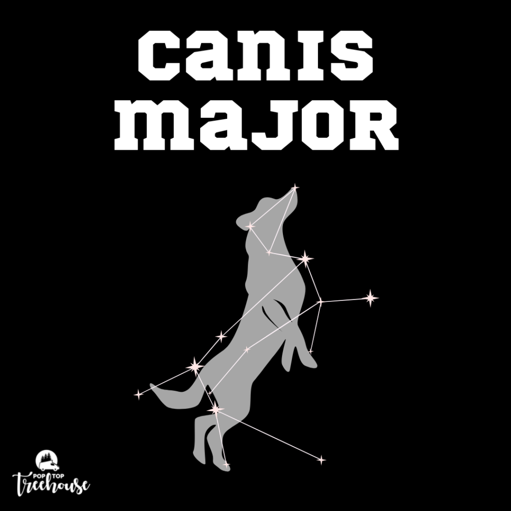 Canis Major constellation
