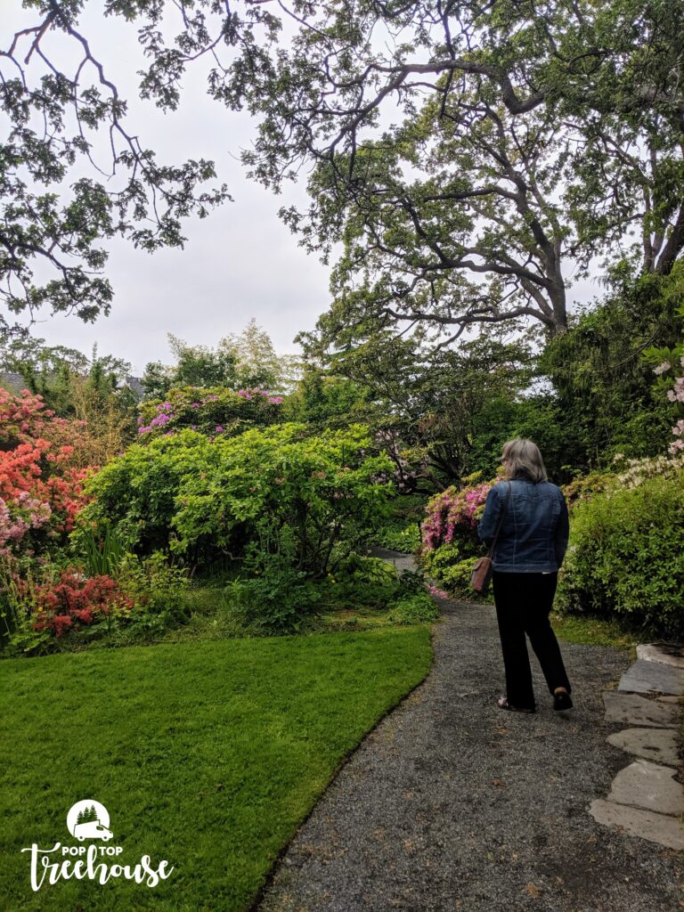 abkhazi garden in Victoria