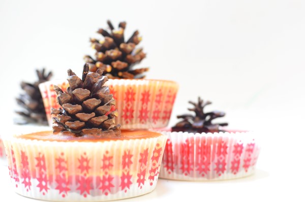pinecone fire starter cupcake