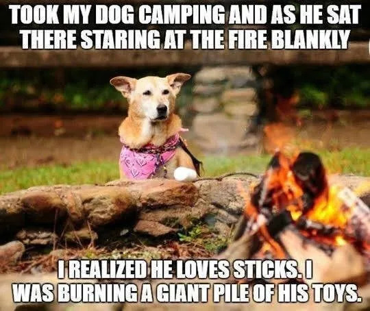 Took my dog camping and as he sat standing at the fire blankly, I realized he loves sticks. I was burning a giant pile of his toys.