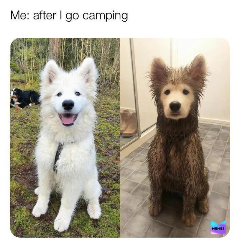 Me after I go camping