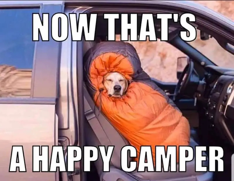 now that's a happy camper