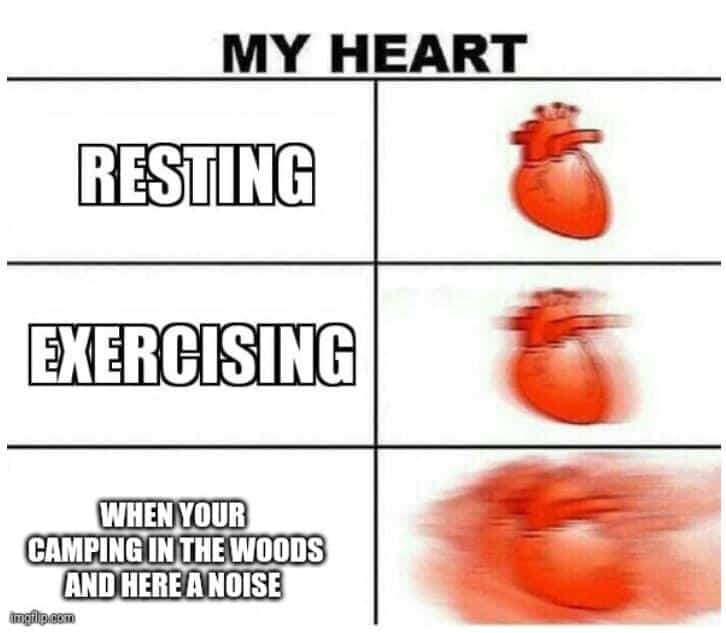 My heart while resting, exercising, and when you're camping and hear a noise. Heart beat gets increasingly fast.