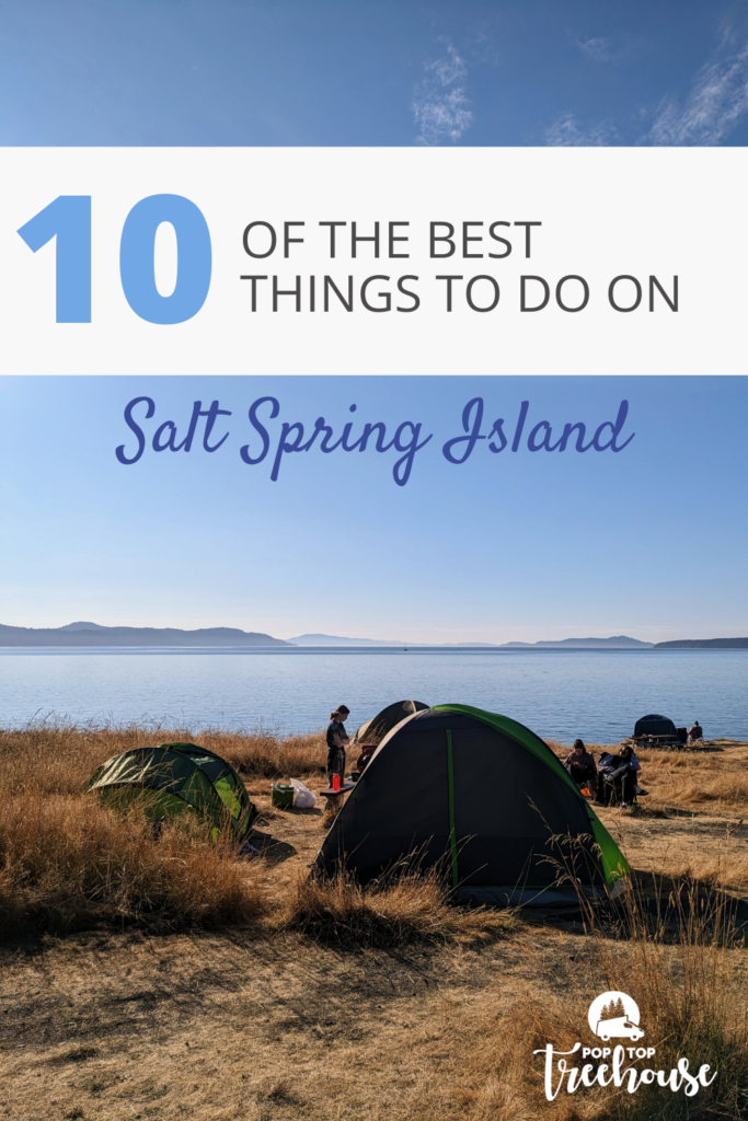 10 things to do on salt spring island pin
